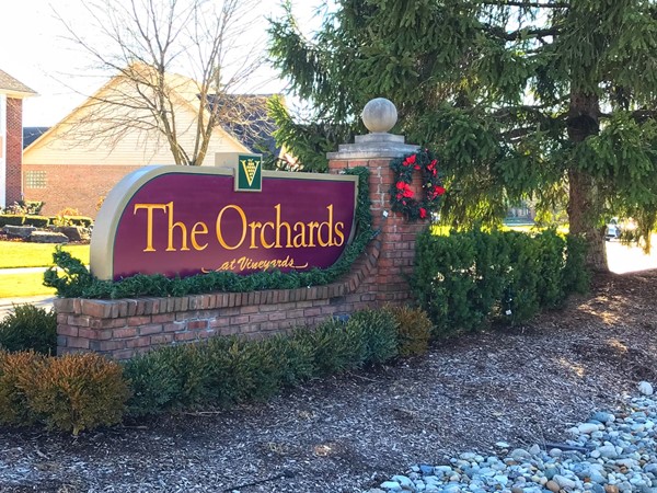 The Orchards at Vineyards is a wonderful, higher end subdivision