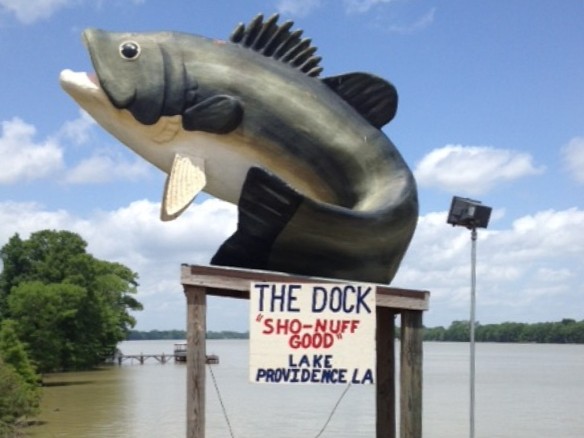 For a great meal with a view, visit "The Dock" restaurant for cajun cuisine to sandwiches