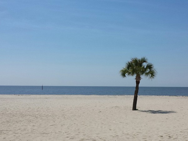 Twenty six miles of white sand beaches for year-round fun in the sun