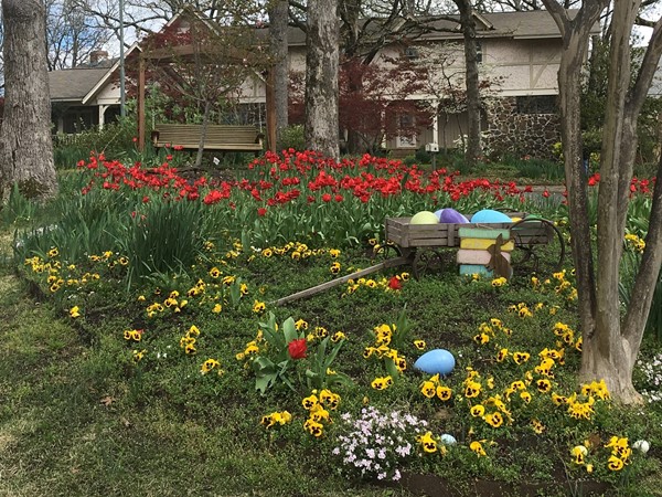 Spring flowers in North Little Rock