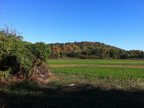Bluff Views in Callaway County along HWY 94! Fall in Callaway County is the best! 