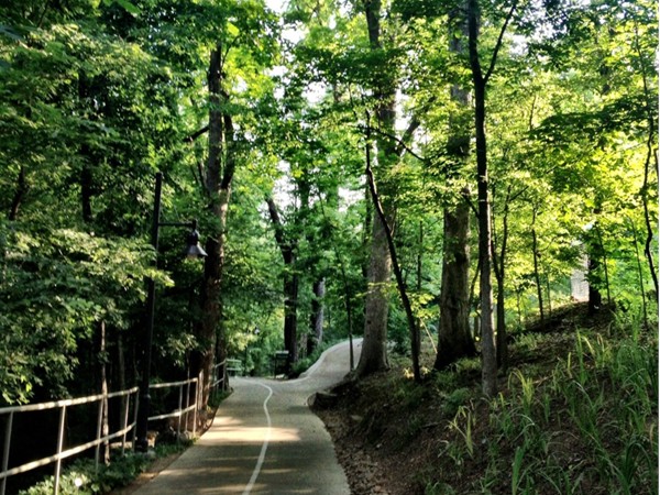 Summertime is a great time of year to explore the trails at Crystal Bridges