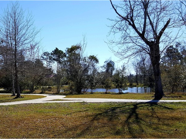 Neighborhood walk and pond view in Florence Gardens