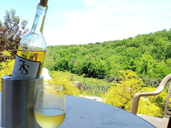 Enjoy a cool refreshing dry Vignoles wine and the sunshine at Seven Springs Winery