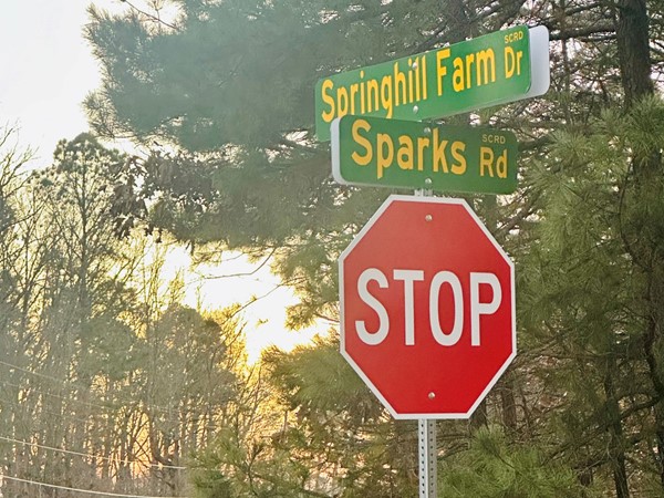 Springhill Farms and Sparks intersection