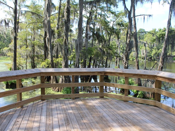 Egret Landing offers gorgeous view of Bayou DeSiard from the community dock