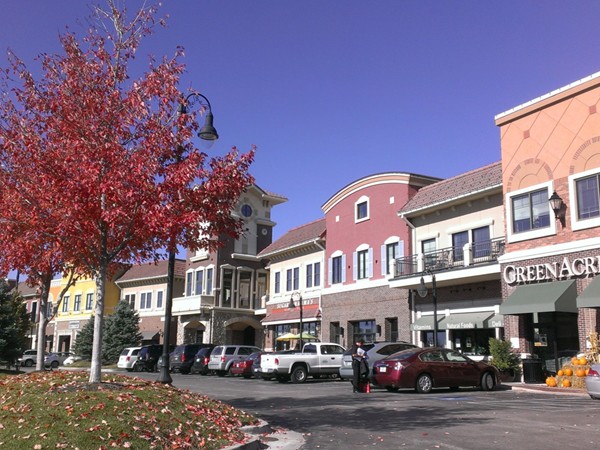  Briarcliff Village shops