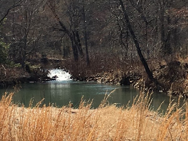 A stream, waterfall, and a swimming hole can be found on some wonderful property in the area
