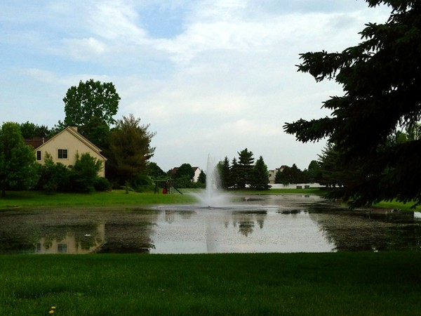 A serene pond that creates a buffer between the neighborhood and Zeeb Road 