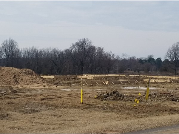 Check out the new houses springing up this spring in Forest Bend