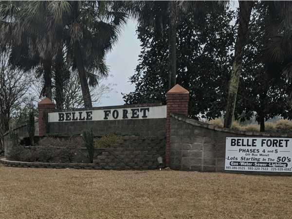 Belle Foret is located on Hwy 22 just west of Ponchatoula