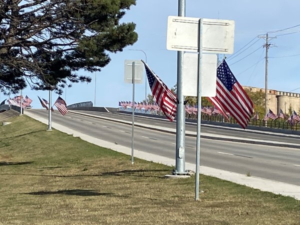 Flags set up in observance for Veterans Day