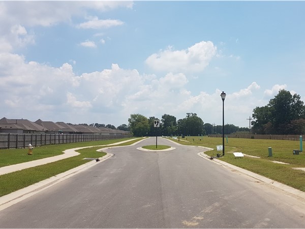 Choose your lot in Hunter's Trace to customize your new DSLD home