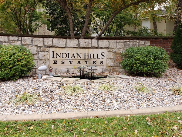 Beautiful mature trees of all colors in Indian Hills Estates