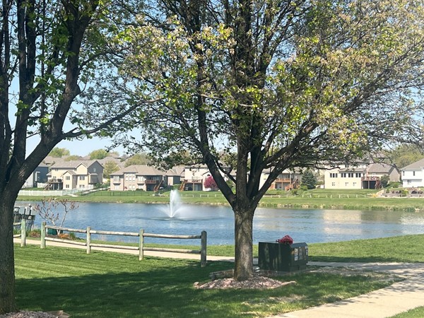 Lake view in the neighborhood