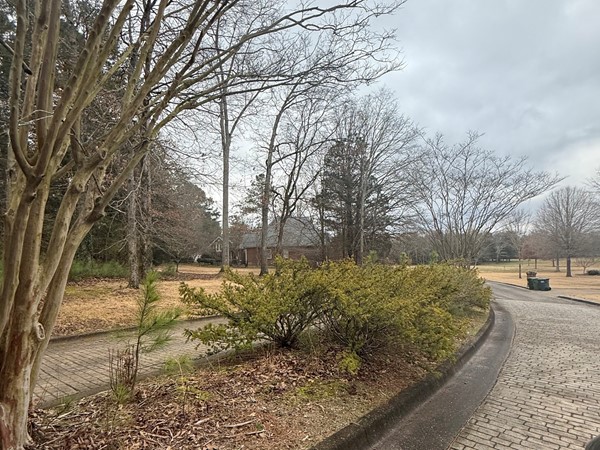 Nice entrance to these estate sized homes and lots! 