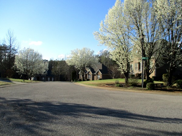Holly Oaks is a pretty neighborhood that is convenient to I-65