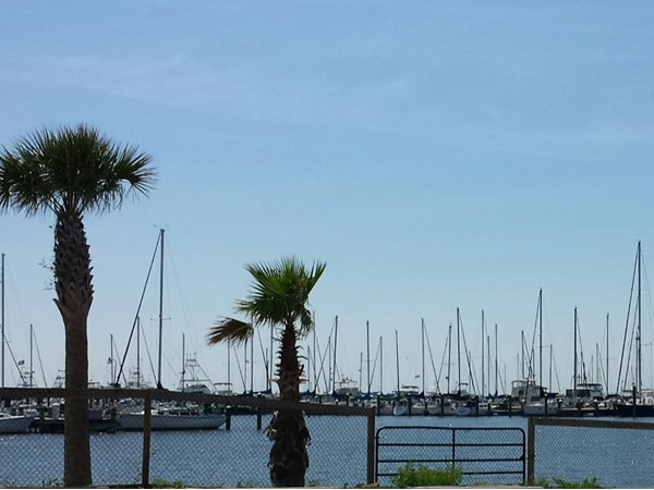 Long Beach Harbor - a great place for the freshest seafood