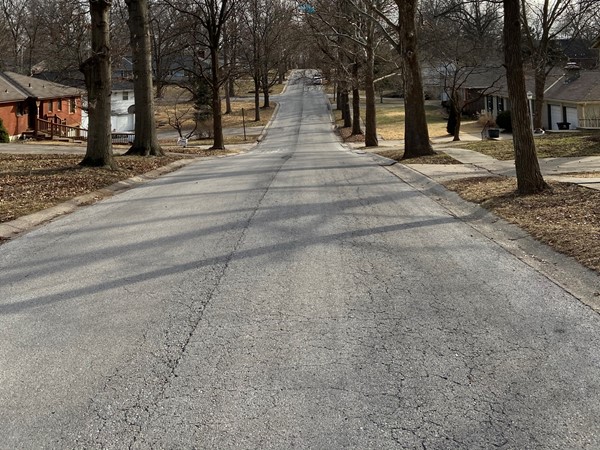 Mature trees line the streets of most Southwood neighborhoods