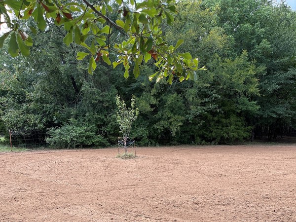 Time to plant your Haskell County food plots in Southeastern Oklahoma
