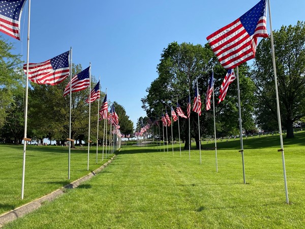 Impressive display of flags at Waverly’s Harlington Cemetery in honor of Memorial Day