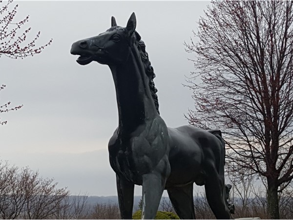Proud pony statue atop a scenic hill in the Saddleridge subdivision 