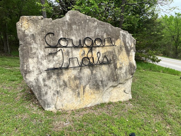 Cougar Trails East subdivision in Branson, MO