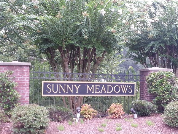 Beautiful Sunny Meadows in Shelby County, Alabama...the name says it all!
