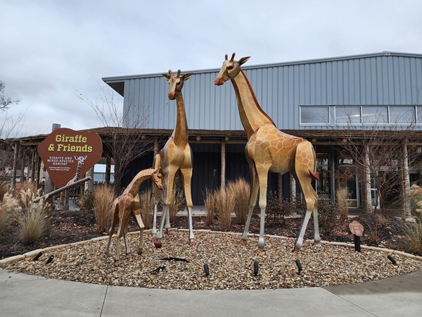Giraffe statues at the Topeka Zoo