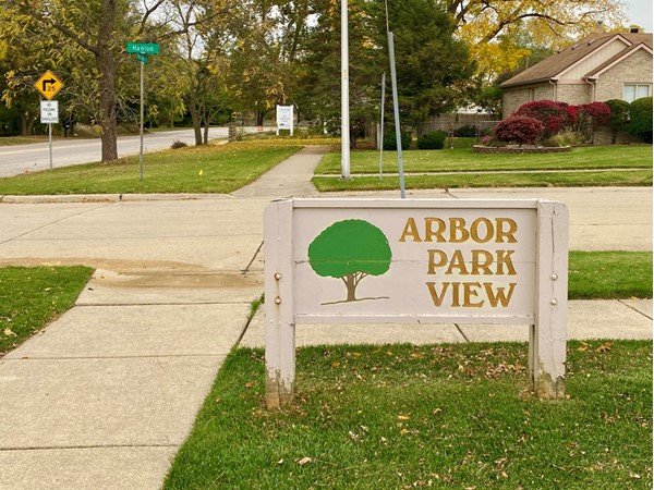 Arbor Park View is off of Ann Arbor Trail. Hines Park is on the south side of this subdivision