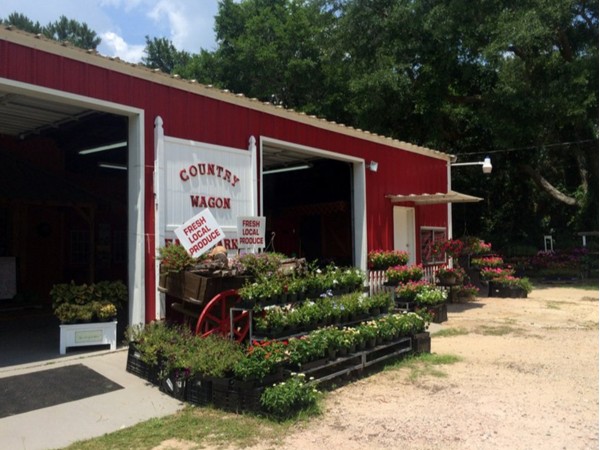 The Country Wagon sells local fresh fruits and vegetables, and beautiful flowers and plants