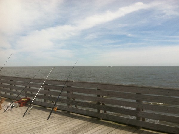 Great place to fish, see pelican's, and even Dolphin watch!