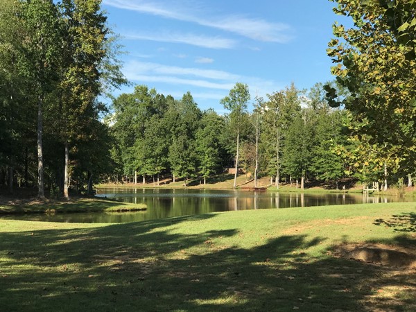 Lakewood Estates stocked pond