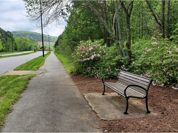 Tranquil park bench along Rahling Rd., c. March 2020
