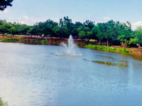 Lansbrook lake and fountain surrounded by a walking trail
