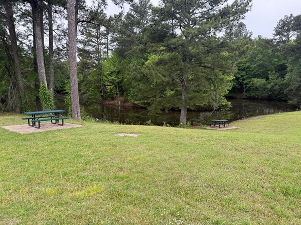 Community picnic area