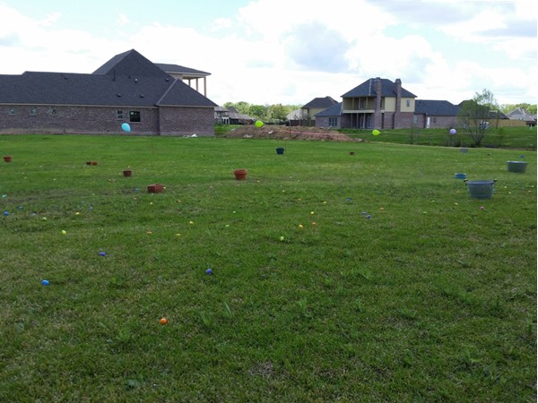 First annual Carriagewood Estates Easter Egg Hunt