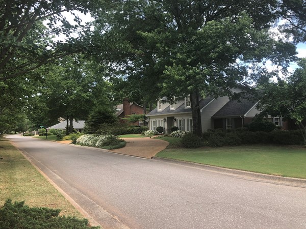 Beautiful tree-lined street in Riverchase - North of the river
