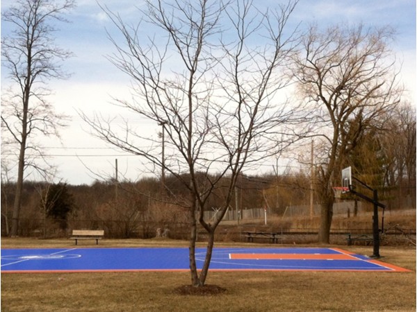 The basketball court at Mill Pond Park and Hart Community Center
