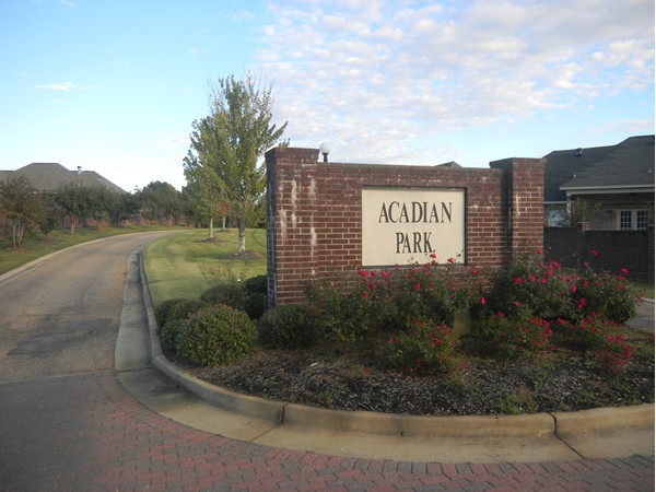 Acadian Park features a New Orleans-style ambience