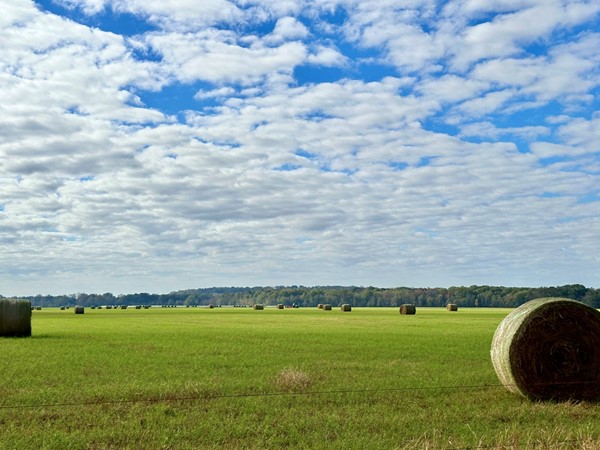 Hay season in full swing under the warm fall sun