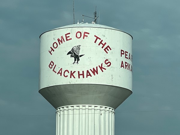 The City of Pea Ridge shows great support for their school mascot