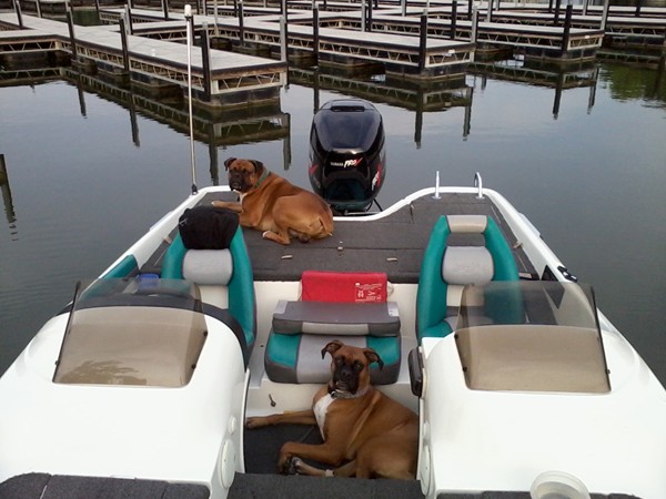 Everybody loves a day at the lake!