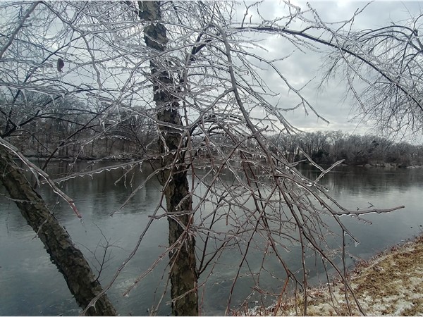 Ice covered branches from the 2019 ice storm at Pertle Springs in Warrensburg