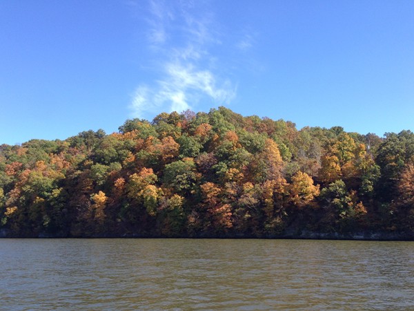 Fall colors from last Sunday, near the 41 MM, at beautiful Lake of the Ozarks