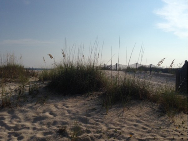 Dunes at Fort Morgan Beach
