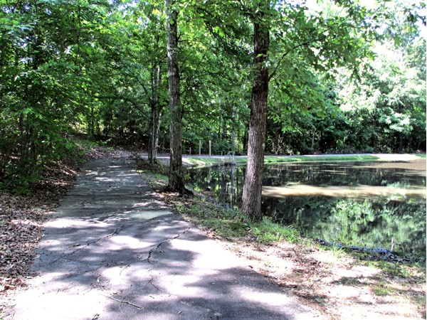 A walking trail winds around the lake and playground