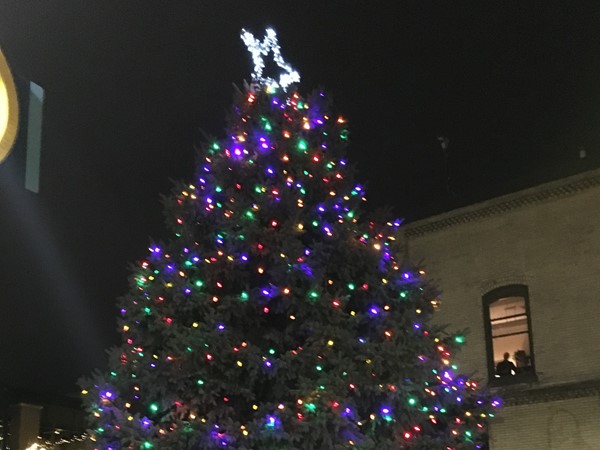 Our beautiful tree in Downtown Traverse City 