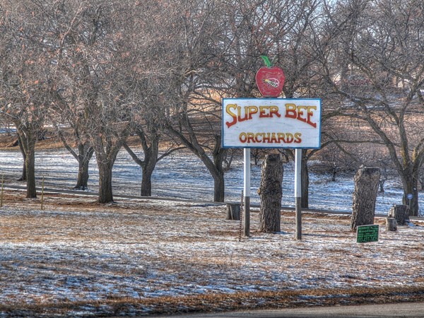 A place to visit, especially in the fall for the best home grown apples at Super Bee Orchards