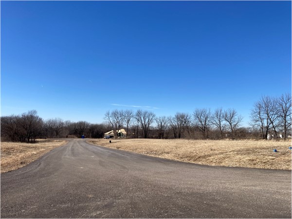 Build your dream home in the country with plenty of elbow room on 2.5 acre lots 
